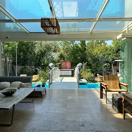 Argente (adults Only) *