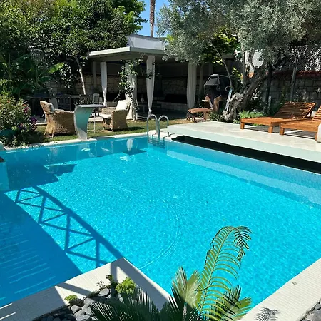 Love hotel Argente (adults Only)