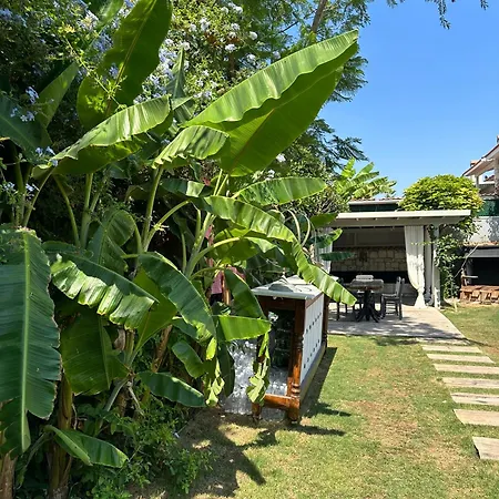 Argente (adults Only) Αλακάτι