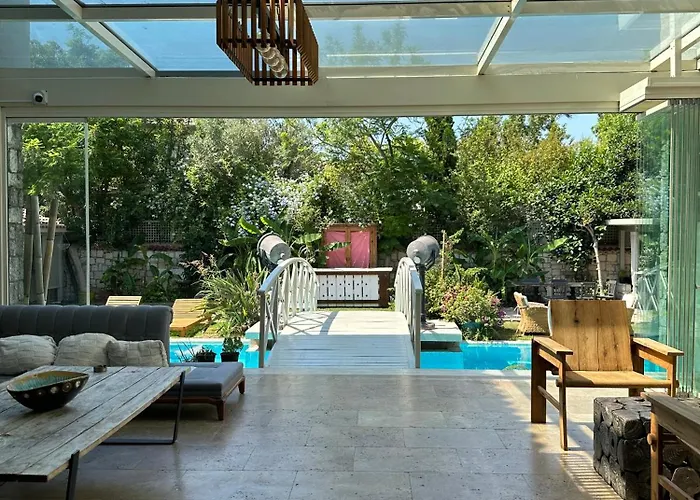 Argente (adults Only) *