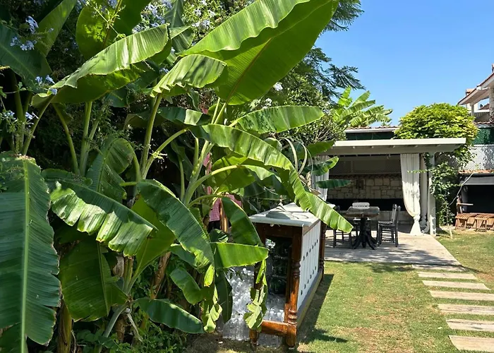 Argente (adults Only) ألاتشاتي