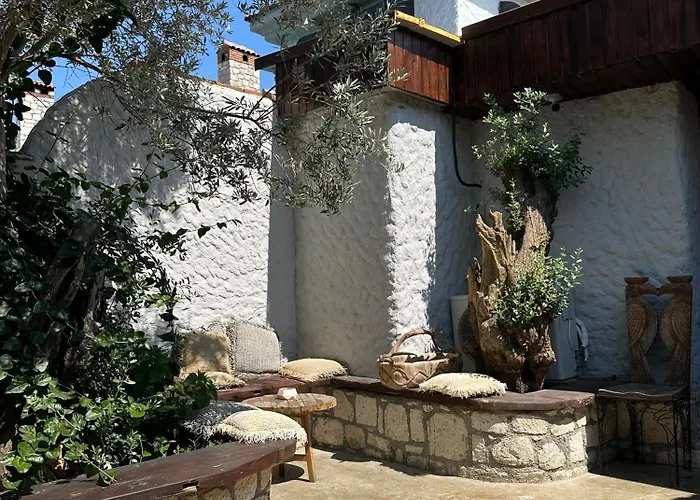 Argente (adults Only)